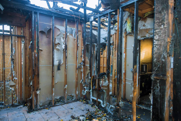Professional Fire Damage Removal technician working in Brookfield, IL
